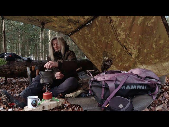 ein gemütlicher Nachmittag im Wald - a chilly afternoon in the forest