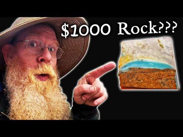 Is This A $1000 Rock?  *Ocean Picture Stone*