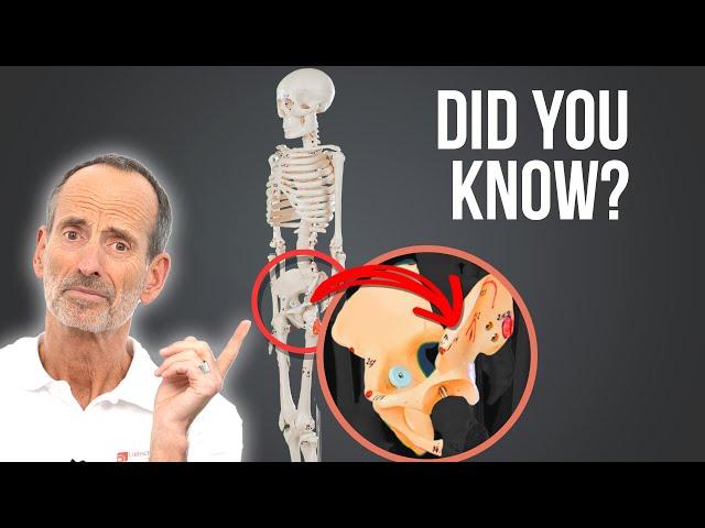 Avoid Hip Surgery - Facts About the Hip