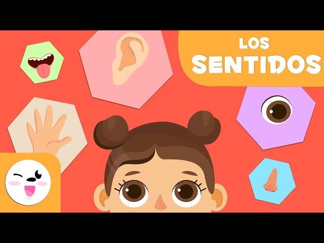 Los cinco sentidos para niños - Educación infantil