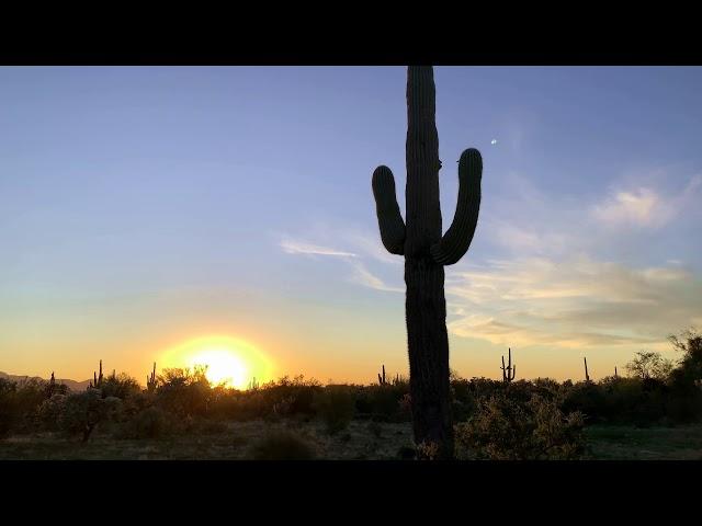 Tucson: Sunset