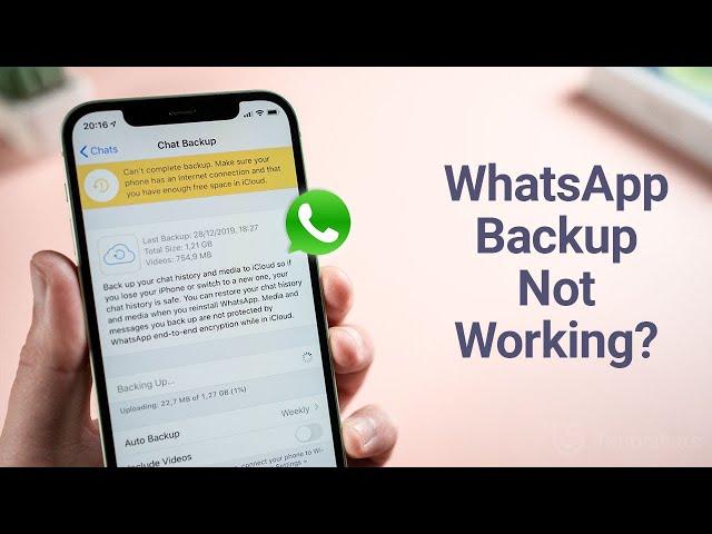 WhatsApp Backup Not Working? Here is The Fix!