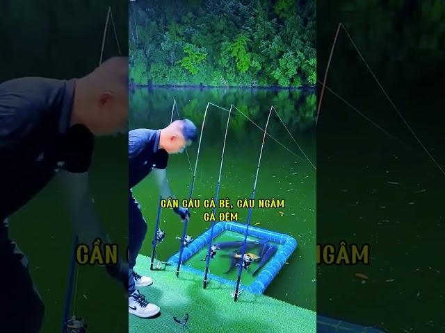 Cần câu máy 2 khúc, ngọn siêu dẻo, câu cá bè, câu ngâm, câu dìa bao phê #fishing #shortvideo