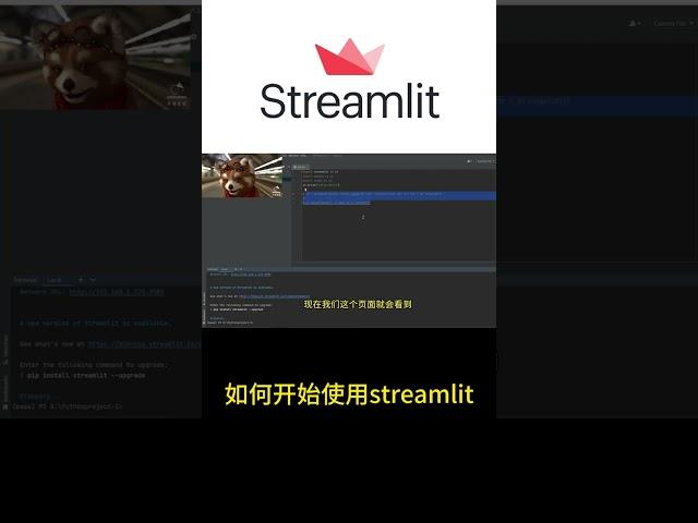 如何开始使用streamlit