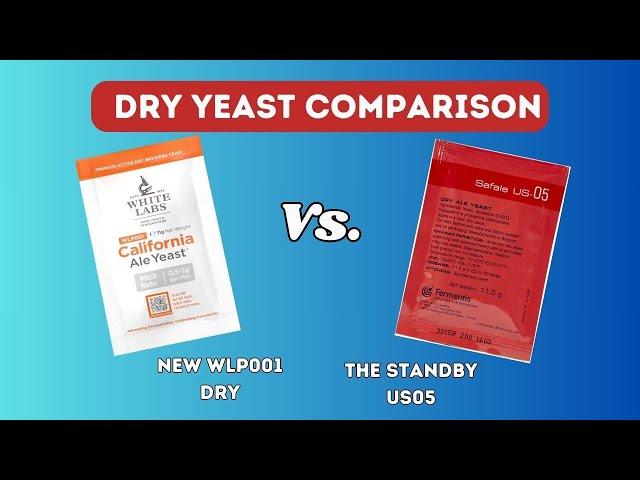 WLP001 vs. US-05 Dry Yeast Comparison - Brew Dudes