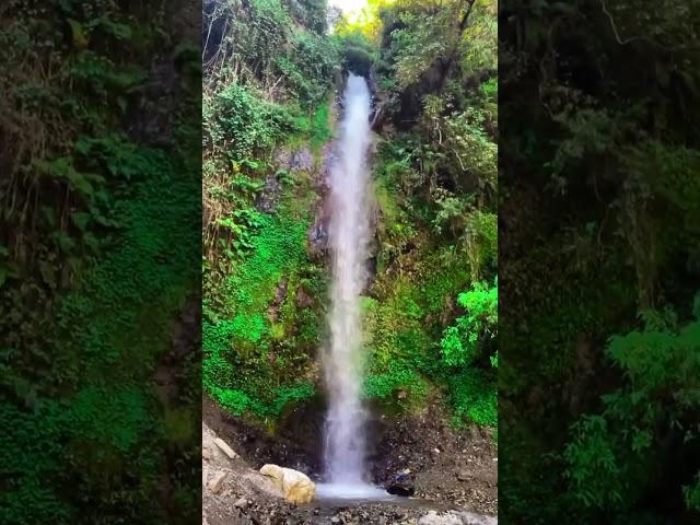 Beautifall Waterfall in Shimla | Mashobra Waterfall #shorts