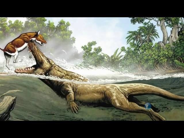 HD 2017 PBS NOVA Documentary - volution What Darwin Never Knew