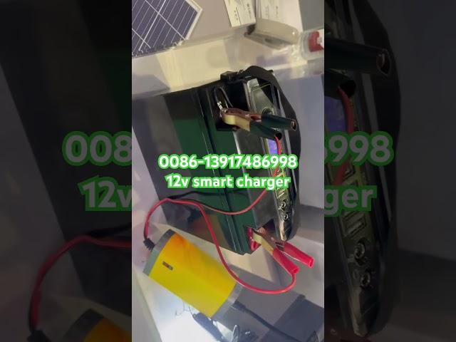 12v2A 4a 5a 6a 10a 20a car battery charger china factory wholesale battery charger lead acid lithium