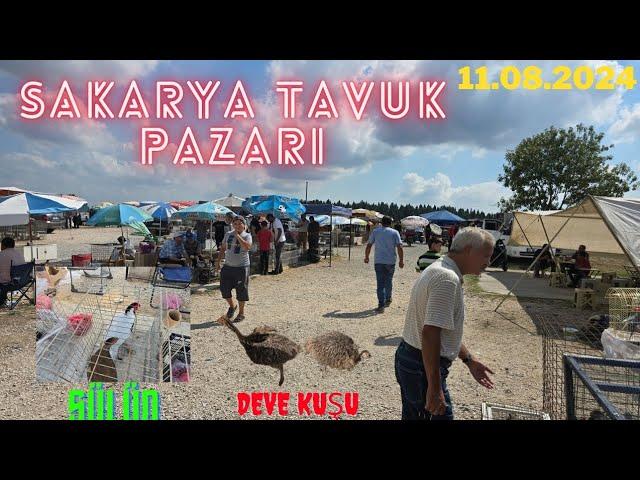 11.08.2024 Sakarya tavuk pazarı