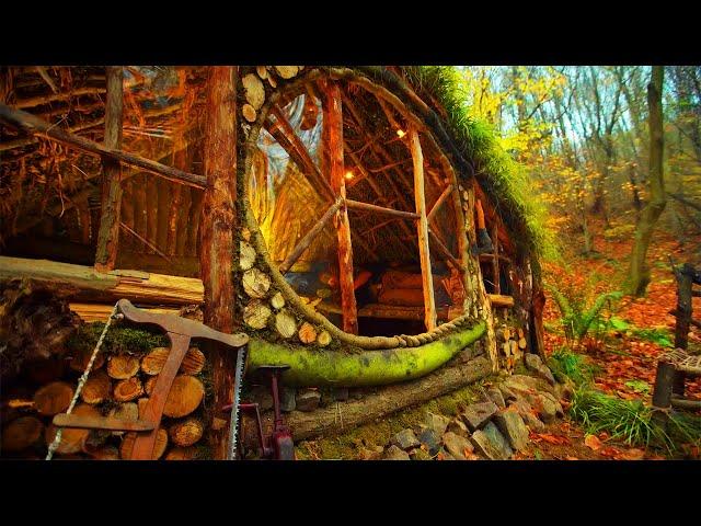 Building an Amazing Shelter in 2 Days - Short | Mr Wild Nature