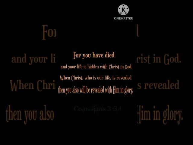 bible verse