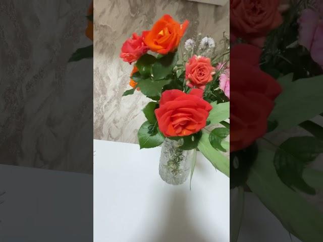 #мысли#высказывание#красивосказано#цветы#розы#дом#красив#çeçek #love #flowers