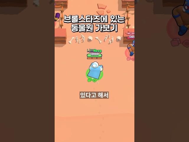 브롤에서 꼭 가봐야하는 동물원이 있다고?!