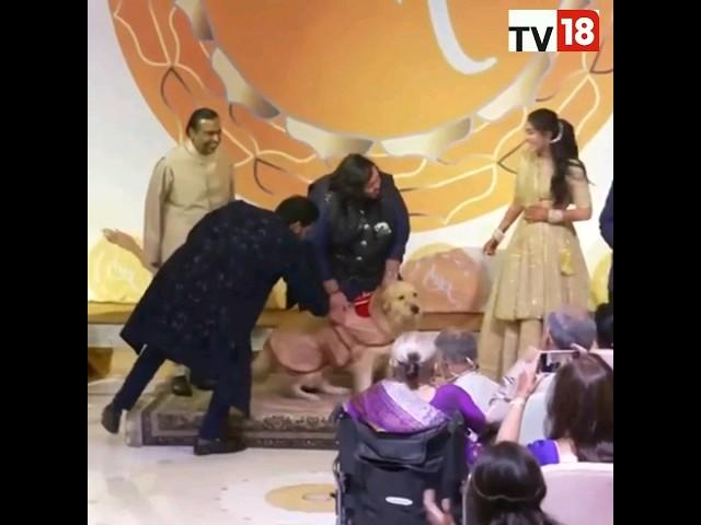 Surprise Ring Bearer | The Adorable Moments From Anant Ambani-Radhika Merchant Engagement Ceremony