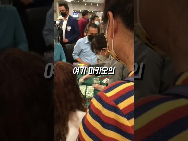바카라로 인생역전 했습니다
