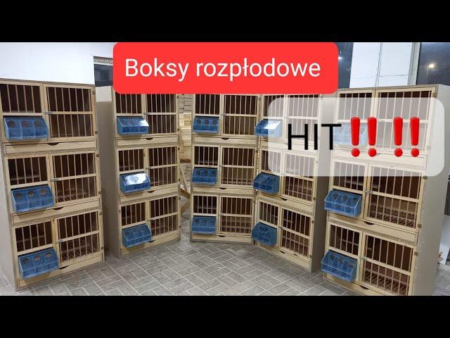 HIT W TWOJEJ HODOWLI‼️‼️‼️Boksy rozpłodowe, 100% pewności pochodzenia z danej pary Tel. 607-841-730