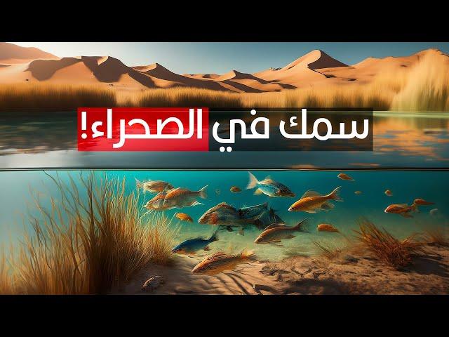 إزاي البحيرات المعزولة فى وسط الصحراء بيكون فيها سمك؟