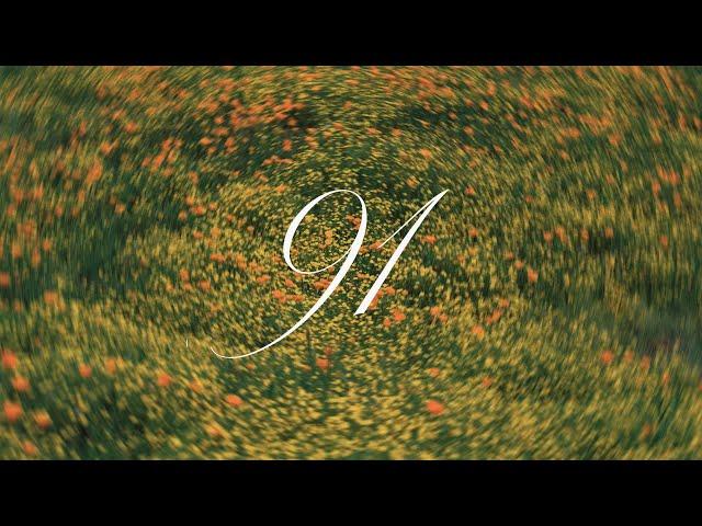 psalms for the summer. 91. matt loscavio