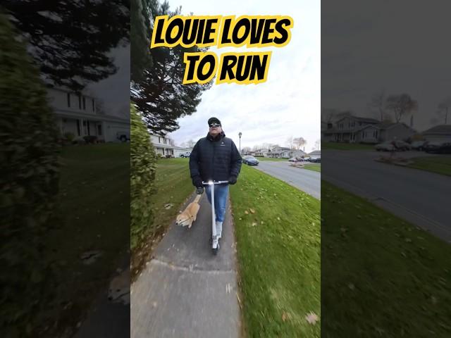 Louie loves running