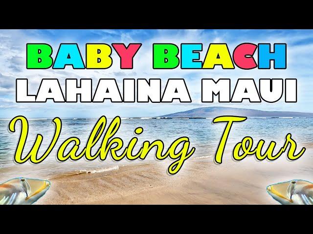 Lahaina Maui Baby Beach Walking Tour Front Street Hawaii Kids Beach Snorkeling Mala Wharf Harbor