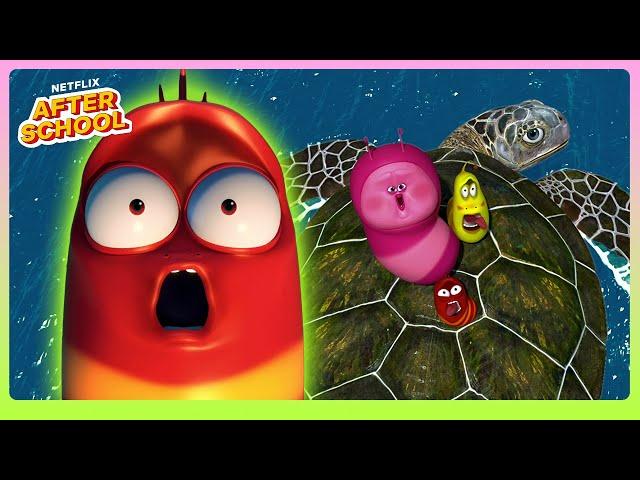 Larva Family's Island Adventure ️ Larva Family | Netflix After School