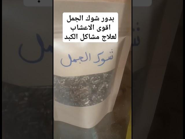 #بدور_شوك_الجمل