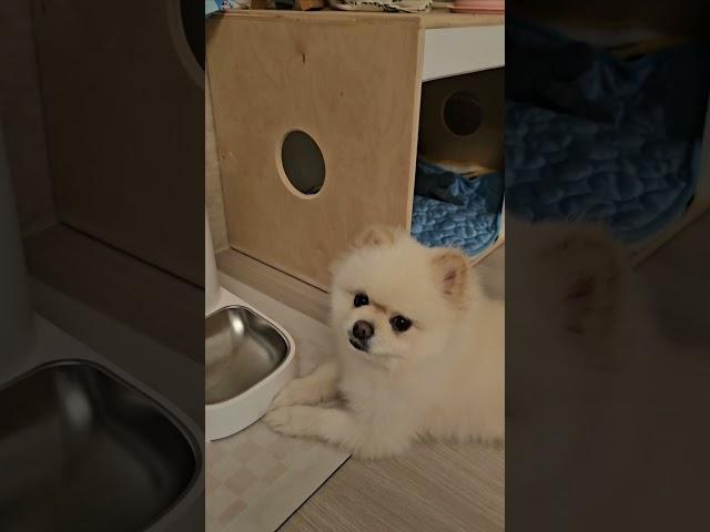난 아직도 배가 고프다