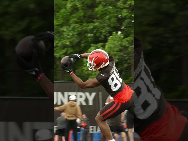 Joe Flacco to Jamari Thrash over the middle‍️