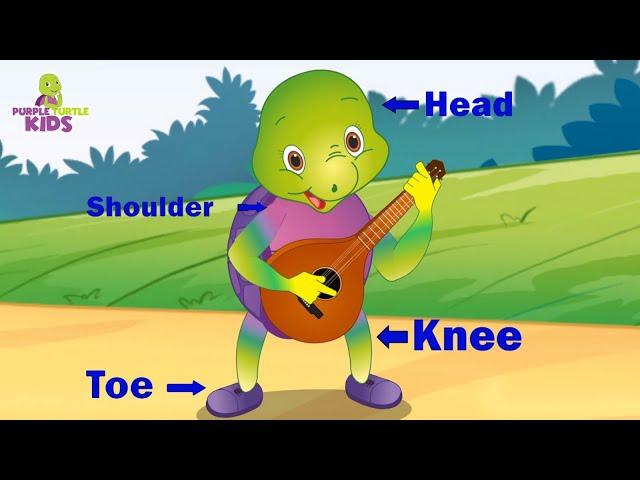 Head Shoulders Knees & Toes | ‪PurpleTurtle Nursery Rhymes & Kids Songs