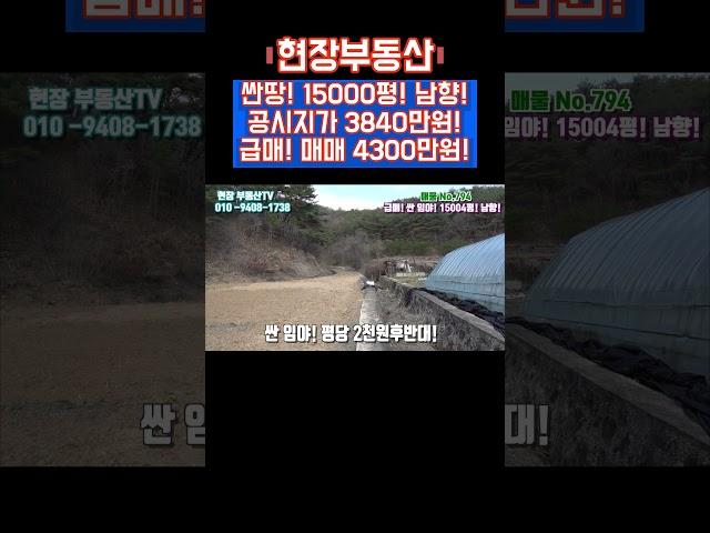 싼 임야 매매  #sorts #현장부동산 #임업인 #자연인 #임야매매