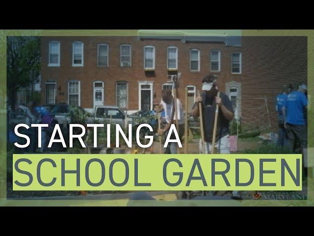 Guide to Starting a School Garden