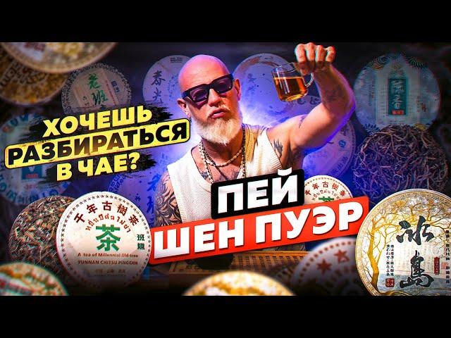 Его Величество - Шен пуэр. Как выбирать? Как заваривать? Как пить? Свойства и эффект чая