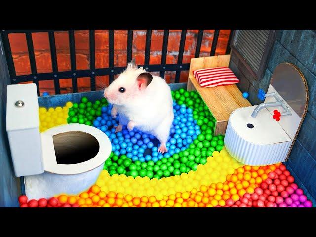 Hamster Escapes the Awesome Maze for Pets in real life  The Best Hamster Challenges