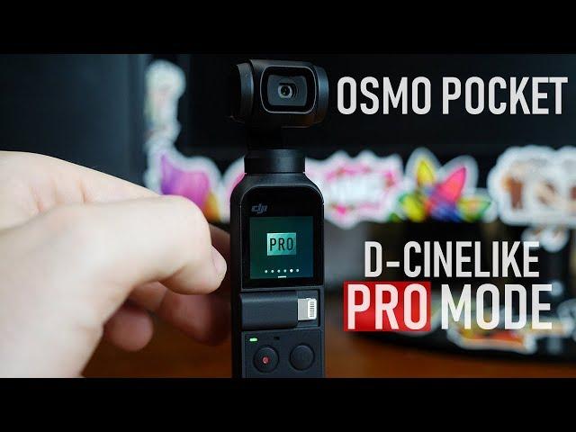 Osmo Pocket Update - PRO Mode & D-Cinelike ADDED | DansTube.TV