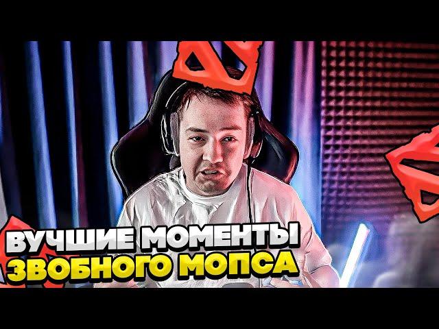 СИЕГА ВУЧШИЕ МОМЕНТЫ! #dota #whyawane #головач