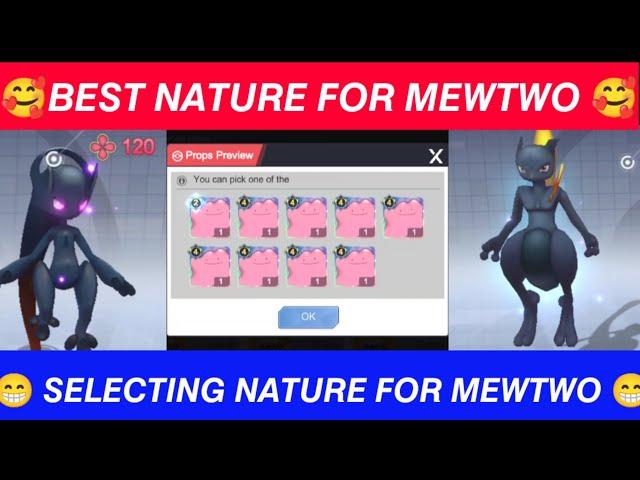 POKEVERSE WORLD BEST NATURE FOR MEWTWO | SELECTING NATURE FOR MEWTWO | ated playz