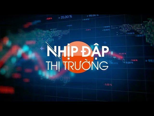  Nhịp đập thị trường ngày 31/10/2024 | VTC1