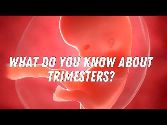 What do you know about trimesters? #doctorberezovska #olenaberezovska #trimester #pregnancy