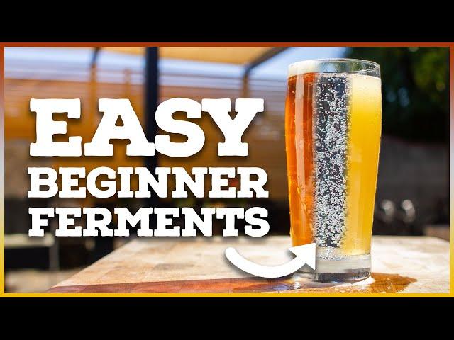 The 3 EASIEST Home Brew Recipes for Beginners