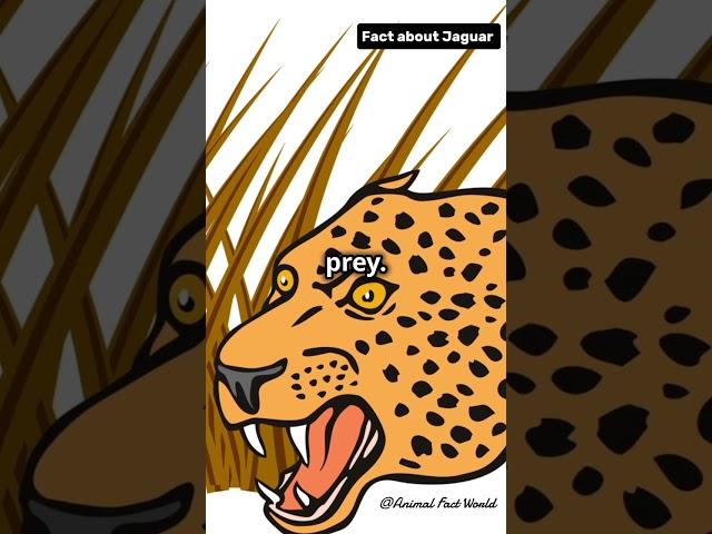 3 Jaw-Dropping Facts About Jaguars