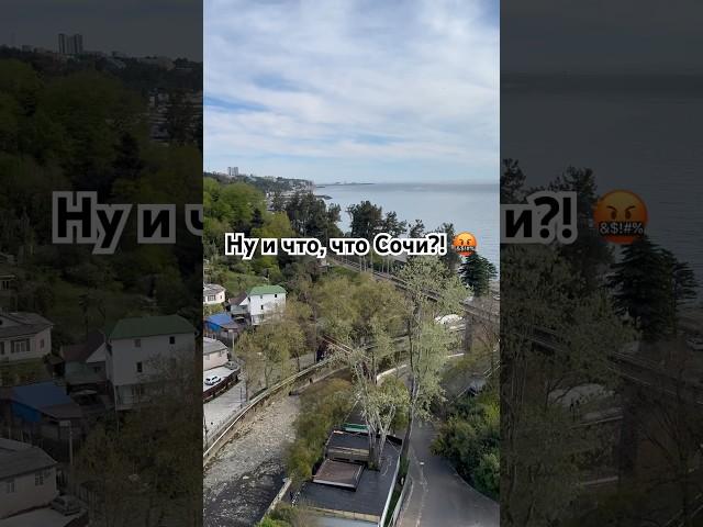 Переехала в Сочи, называется…  #сочи