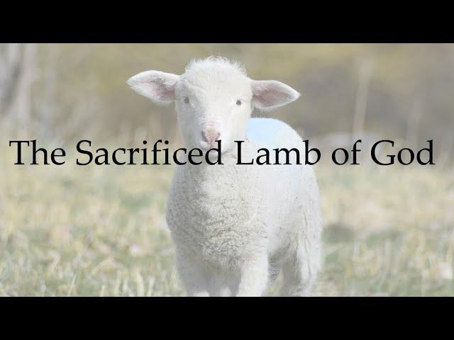 The Sacrificed Lamb of God