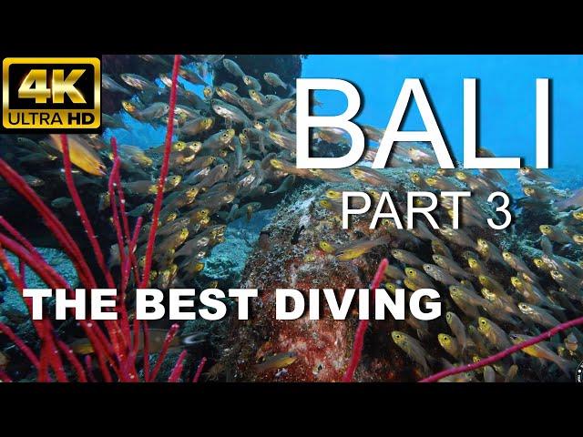 4K THE BEST DIVING IN BALI / TULAMBEN / PART 3 / Relax music / 2022 /