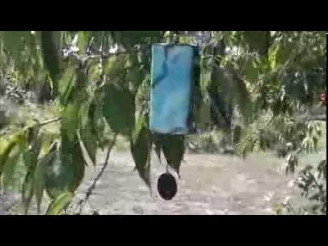 Zaphir Wind Chimes - Crystalide