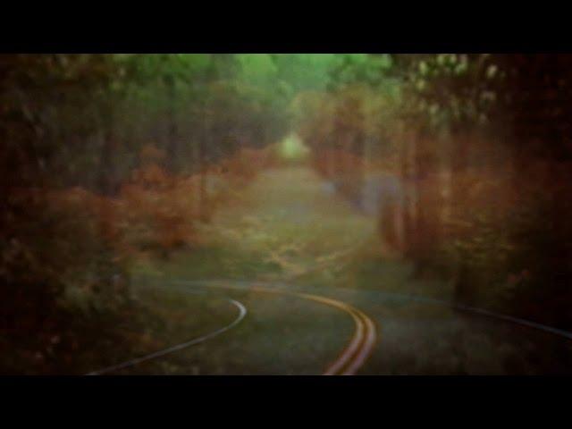 Bibio - Dye The Water Green (Official Music Video)