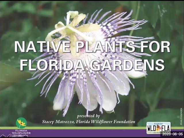 Native Plants for Florida Gardens