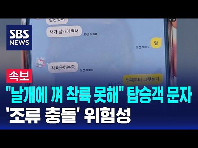 "날개에 껴 착륙 못해" 탑승객 문자…'조류 충돌' 위험성 / SBS