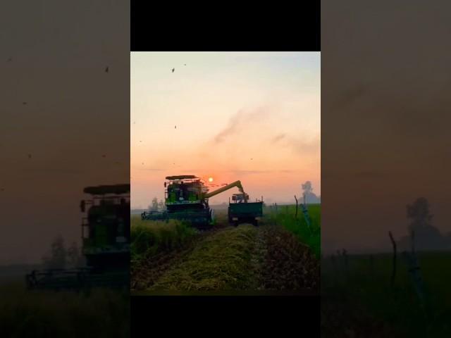 Sidhu musewala song rohit deswal Farming viral reel short video#youtubeshorts