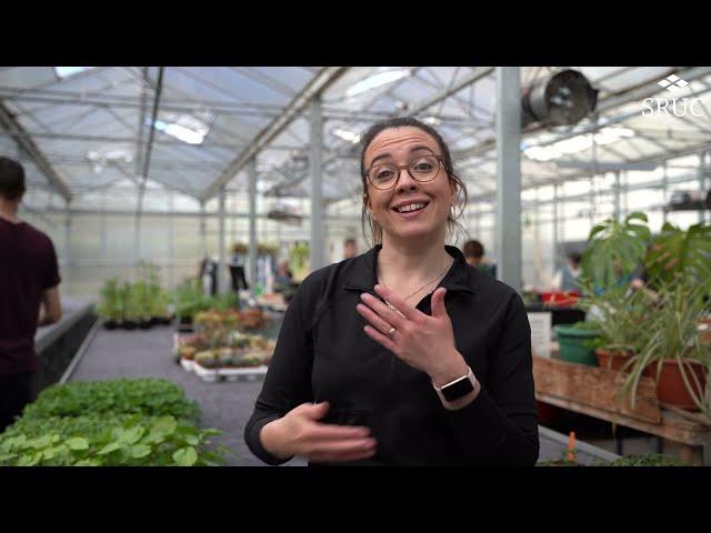 Study BSc (Hons), HND, HNC Horticulture at SRUC