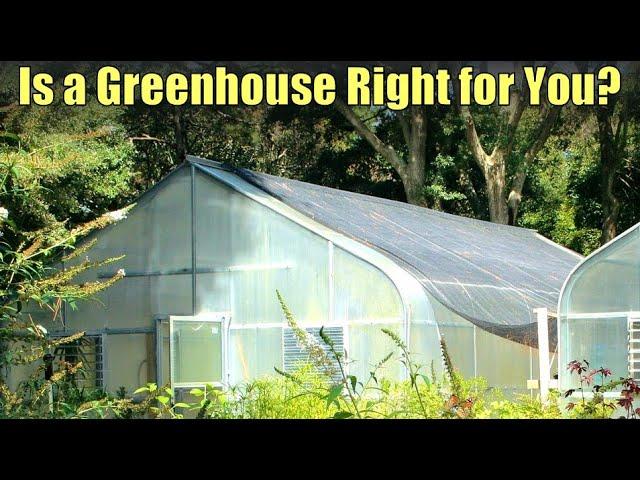 Is a Greenhouse Right for You?